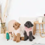 ツリーとトナカイ