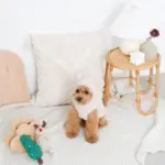 ツリーとトナカイ