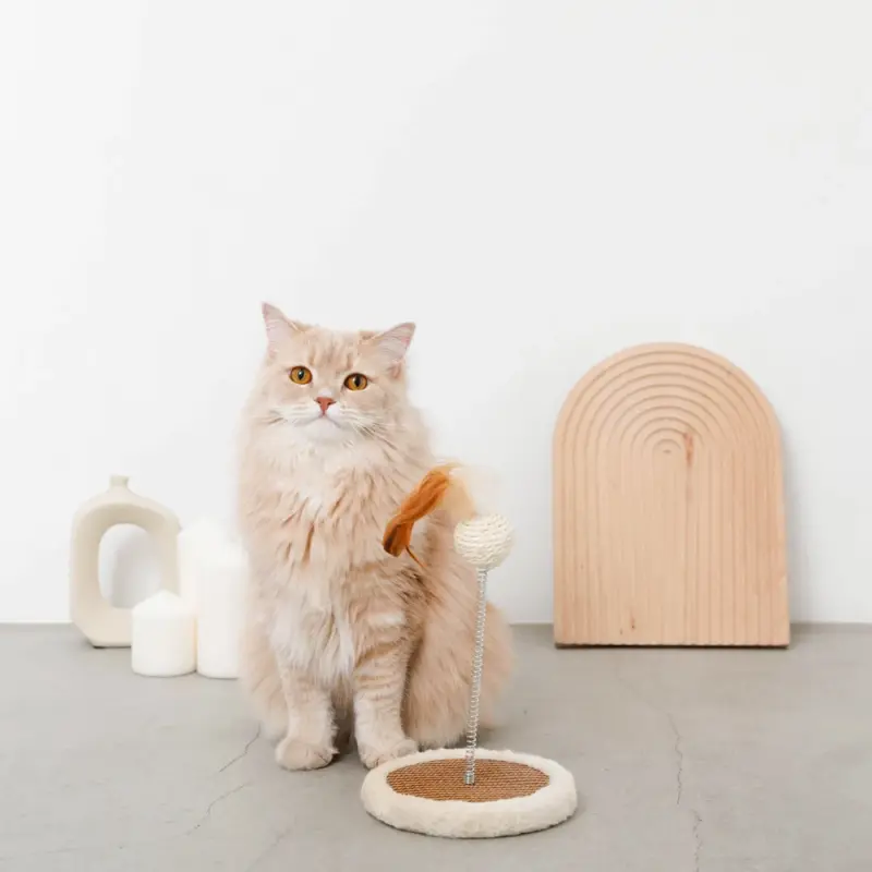 キャットパンチングおもちゃ