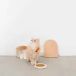 キャットパンチングおもちゃ