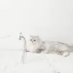 ポンポン付スエードリボンねこじゃらし