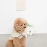 ネックリボンバンビさん