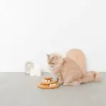 ナチュラルウッドボール回転盤