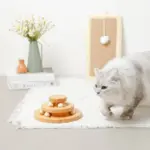 ナチュラルウッドボール回転盤