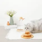 ナチュラルウッドボール回転盤