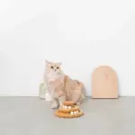 ナチュラルウッドボール回転盤