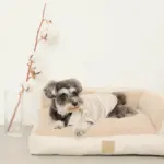 ソファーベッド【名入れ刺繍対応】