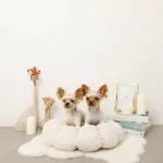 ギンガムチェックドーナツクッションベッド