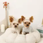 ギンガムチェックドーナツクッションベッド