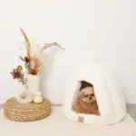 ファードーム型セミクローズドファーペットハウス クッション付