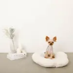 フラワーファークッションベッド