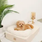 低反発まくら付きスロープクッションベッド