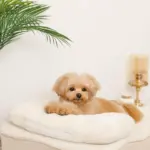 低反発まくら付きスロープクッションベッド