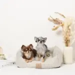 ギンガムチェッククッションベッド