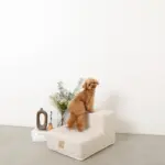 ペットキルティング階段