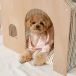 室内用ストライプペットハウス クッション付