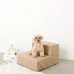 エコレザー階段