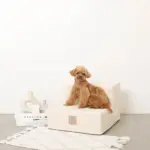 エコレザー階段