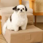 エコレザー階段