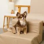 エコレザー階段