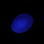 USB充電式猫足レーザーポインター