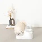 ペット用ウォーターサーバー