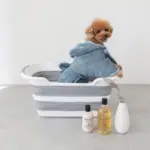 折りたたみコンパクトペットバス