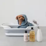 折りたたみコンパクトペットバス