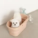 折りたたみ持ち手付ペットバス