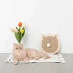 ねこ型壁掛け爪とぎマット