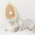 さかな型壁掛け爪とぎマット