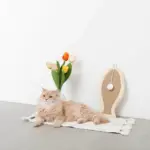 さかな型壁掛け爪とぎマット