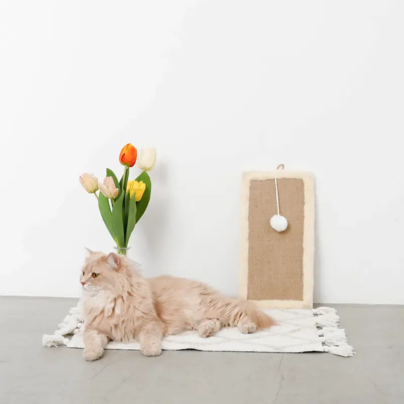 長方形壁掛け爪とぎマット