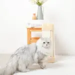 柱コーナー爪とぎ