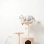 星とお月さまのキャットタワー