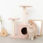 星とお月さまのキャットタワー