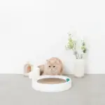 コロコロボール付サークル爪とぎ