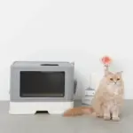 スコップ付スクエアキャットトイレ