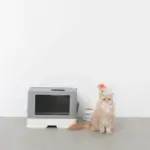 スコップ付スクエアキャットトイレ