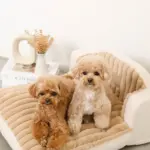 もこもこソファクッションベッド