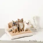 もこもこソファクッションベッド