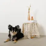 ドライフラワー用ウッドトールフラワーベース