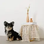 ドライフラワー用ウッドトールフラワーベース