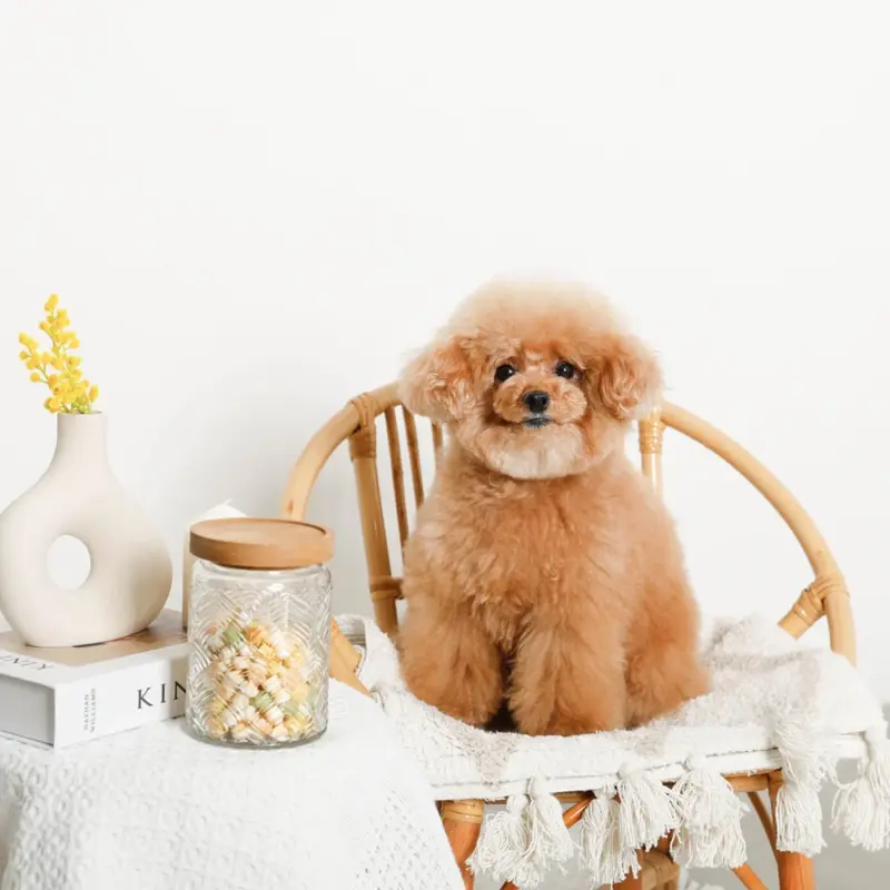 リーフ柄ウッド蓋ガラスキャニスター