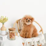 レトロ柄ウッド蓋ガラスキャニスター