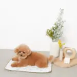 tomboniaコラボひんやりジェルマット