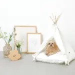 クッション付テントハウス