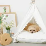 クッション付テントハウス