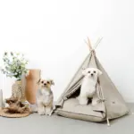 クッション付テントハウス