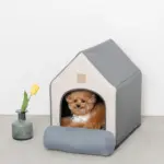 エコレザー組み立てハウス クッション付き